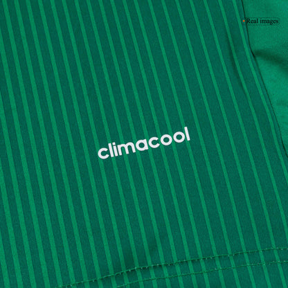 Retrô México Casa Camisa 2014 Verde